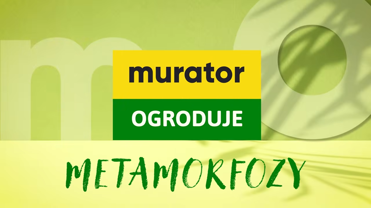 „Murator” z nowym formatem wideo: „Murator Ogroduje: Metamorfozy”